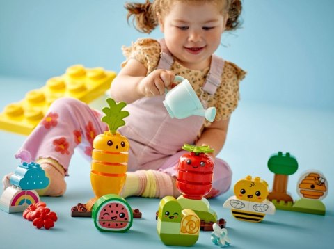 LEGO DUPLO My First 10984 Ogród uprawowy LEGO DUPLO My First 10984 Ogród uprawowy