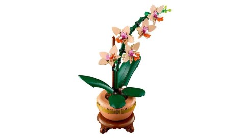 LEGO ICONS 10343 Botanicals - Mała orchidea LEGO ICONS 10343 Botanicals - Mała orchidea