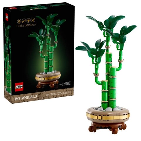 LEGO ICONS 10344 Botanicals - Dracena sandera LEGO ICONS 10344 Botanicals - Dracena sandera