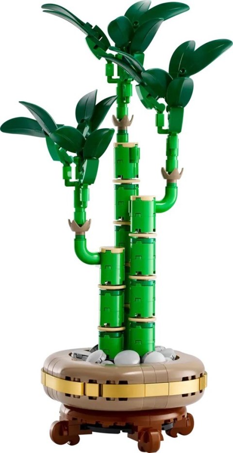 LEGO ICONS 10344 Botanicals - Dracena sandera LEGO ICONS 10344 Botanicals - Dracena sandera