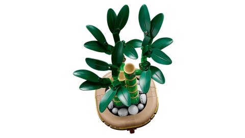 LEGO ICONS 10344 Botanicals - Dracena sandera LEGO ICONS 10344 Botanicals - Dracena sandera