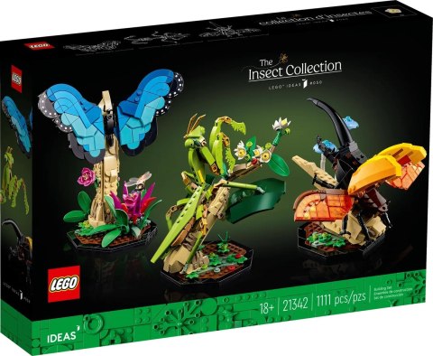 LEGO Ideas 21342 Kolekcja owadów LEGO Ideas 21342 Kolekcja owadów