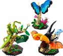 LEGO Ideas 21342 Kolekcja owadów