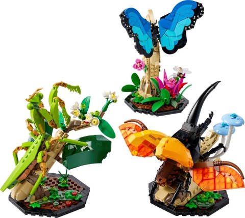 LEGO Ideas 21342 Kolekcja owadów LEGO Ideas 21342 Kolekcja owadów