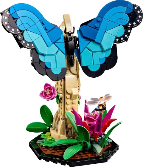 LEGO Ideas 21342 Kolekcja owadów LEGO Ideas 21342 Kolekcja owadów