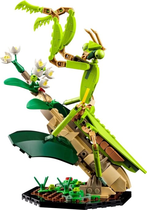 LEGO Ideas 21342 Kolekcja owadów LEGO Ideas 21342 Kolekcja owadów