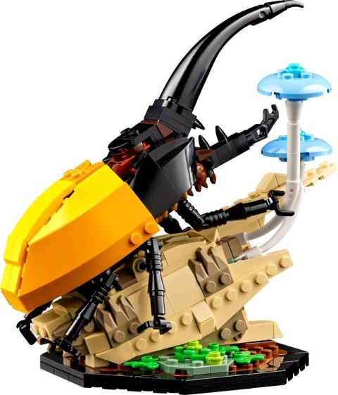 LEGO Ideas 21342 Kolekcja owadów LEGO Ideas 21342 Kolekcja owadów
