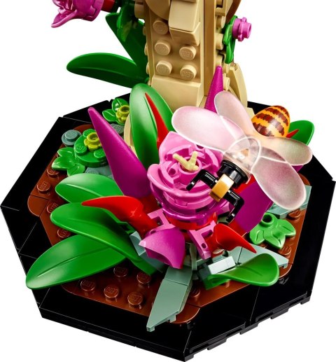 LEGO Ideas 21342 Kolekcja owadów LEGO Ideas 21342 Kolekcja owadów