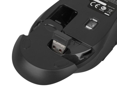 Zestaw klawiatura + mysz membranowa NATEC Stingray NZB-1440 (USB (Radio 2.4 GHz); (US); kolor czarny; optyczna; 1600 DPI, 800 DP Zestaw klawiatura + mysz membranowa NATEC Stingray NZB-1440 (USB (Radio 2.4 GHz); (US); kolor czarny; optyczna; 1600 DPI, 800 DP