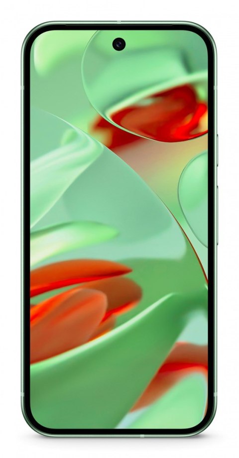 Smartfon Google Pixel 9 5G DualSIM 12/128GB Winter Green Smartfon Google Pixel 9 5G DualSIM 12/128GB Winter Green