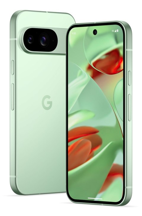 Smartfon Google Pixel 9 5G DualSIM 12/128GB Winter Green Smartfon Google Pixel 9 5G DualSIM 12/128GB Winter Green