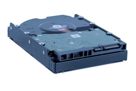 Dysk HDD WD Red Plus WD80EFPX (8 TB ; 3.5"; 256 MB) Dysk HDD WD Red Plus WD80EFPX (8 TB ; 3.5"; 256 MB)