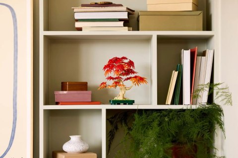 LEGO BOTANICALS 10348 JAPANESE RED MAPLE BONSAI TREE LEGO BOTANICALS 10348 JAPANESE RED MAPLE BONSAI TREE
