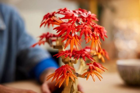 LEGO BOTANICALS 10348 JAPANESE RED MAPLE BONSAI TREE LEGO BOTANICALS 10348 JAPANESE RED MAPLE BONSAI TREE